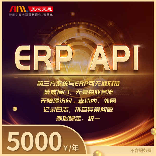 ERP API